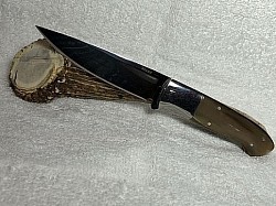 #510 - Nolen full tang caper.  Blade length is 4 1/2
