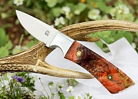 181
